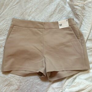 Express Mid Rise Shortie Mauve Pink NWT